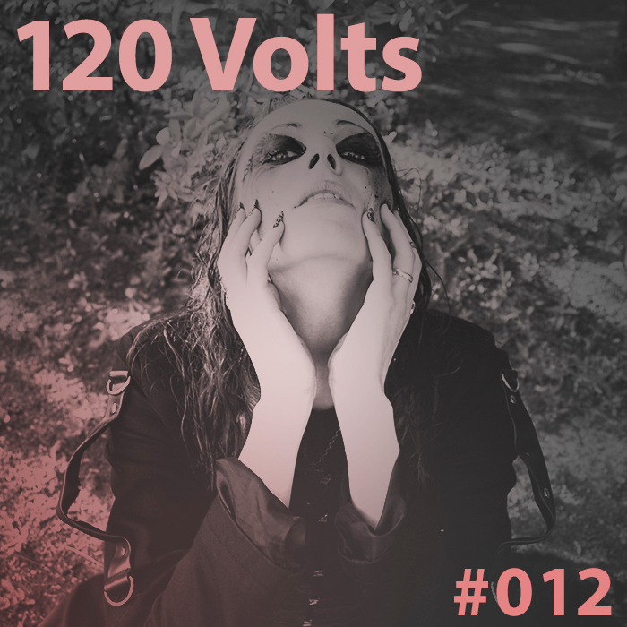 120 Volts #012 New & Classic EBM Industrial Darkwave Electronic Tracks