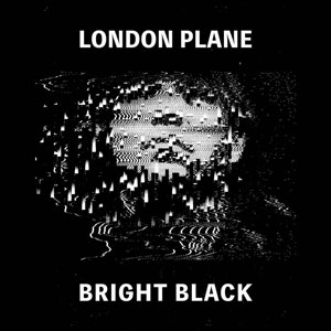London Plane - Bright Black